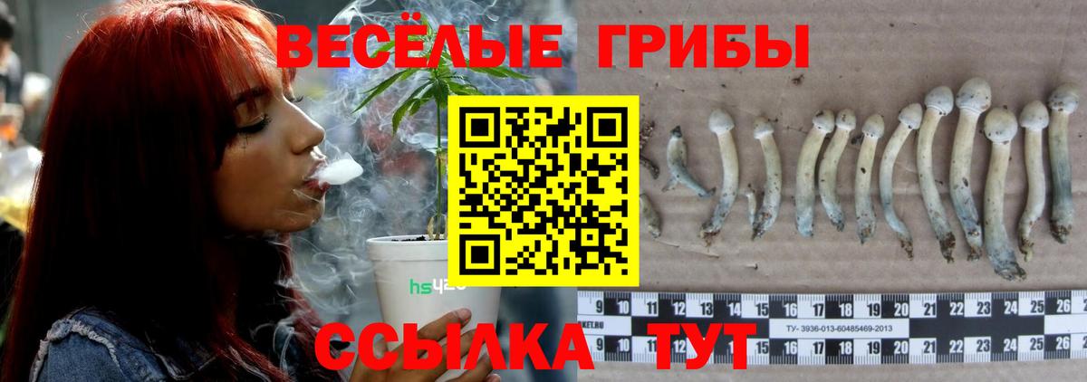 Галлюциногенные грибы GOLDEN TEACHER Воронеж